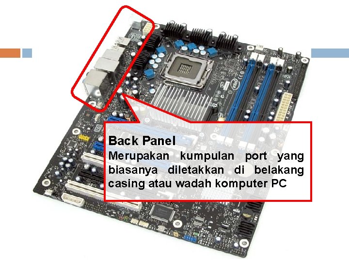 Back Panel Merupakan kumpulan port yang biasanya diletakkan di belakang casing atau wadah komputer