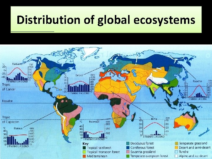 Distribution of global ecosystems 