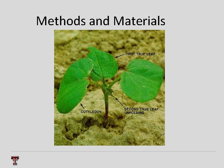 Methods and Materials 