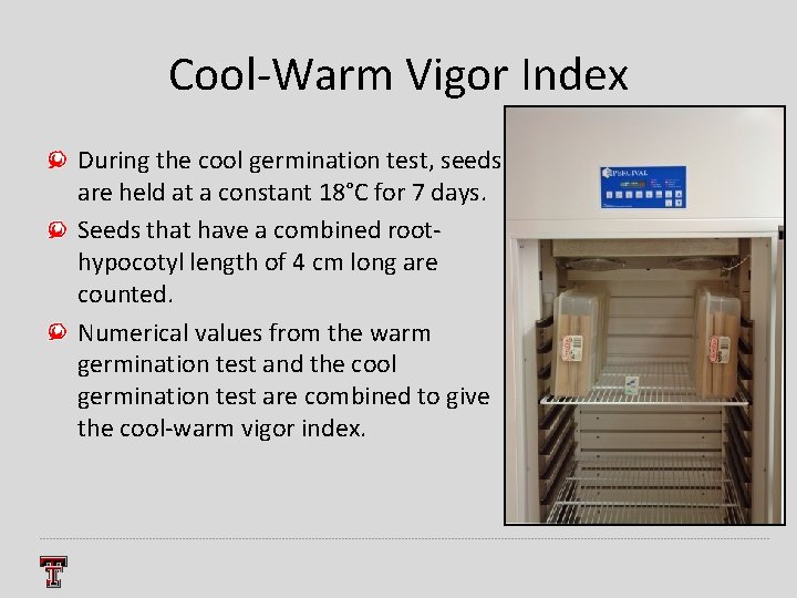 Cool-Warm Vigor Index During the cool germination test, seeds are held at a constant