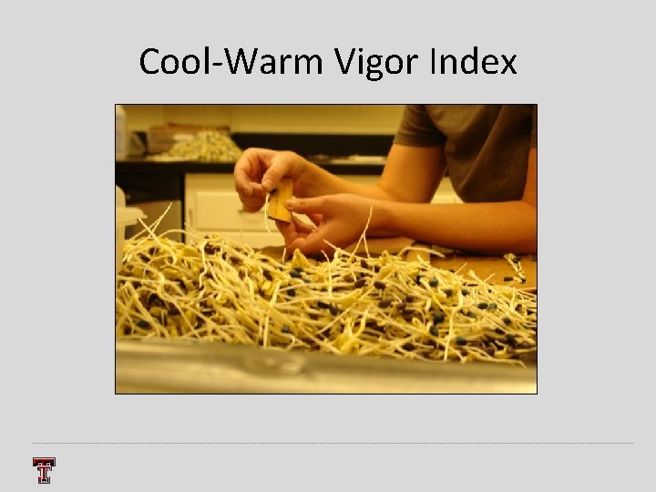 Cool-Warm Vigor Index 