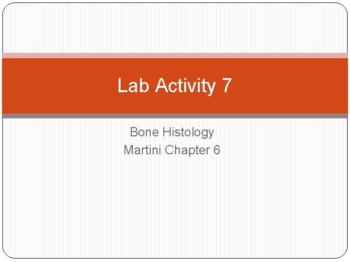 Lab Activity 7 Bone Histology Martini Chapter 6 