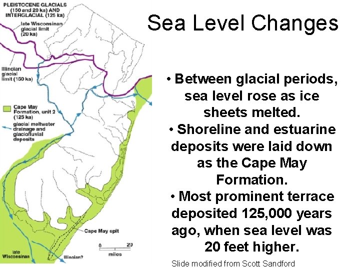 Sea Level Changes • Between glacial periods, sea level rose as ice sheets melted.