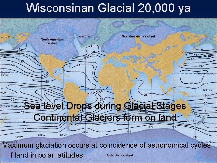 Wisconsinan Glacial 20, 000 ya Sea level Drops during Glacial Stages Continental Glaciers form