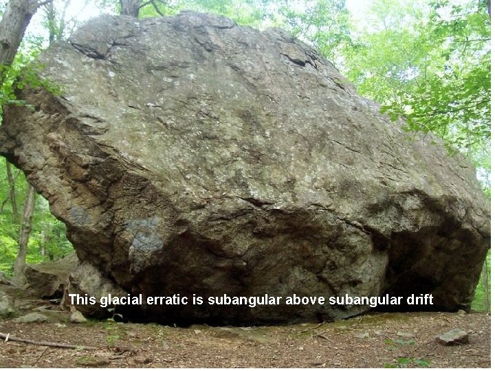 This glacial erratic is subangular above subangular drift 