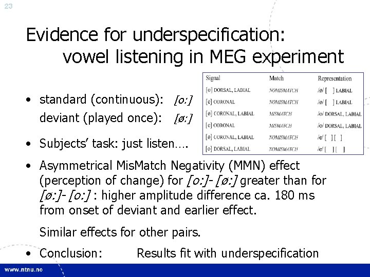 23 Evidence for underspecification: vowel listening in MEG experiment • standard (continuous): [o: ]