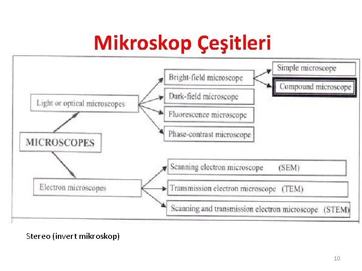 Mikroskop Çeşitleri Stereo (invert mikroskop) 10 