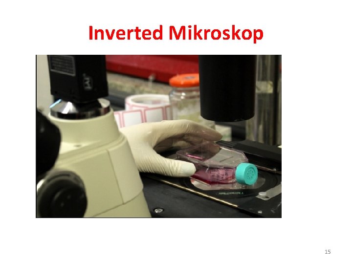 Inverted Mikroskop 15 