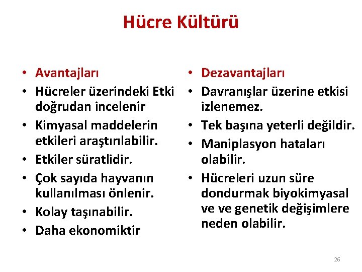 Hücre Kültürü • Avantajları • Hücreler üzerindeki Etki doğrudan incelenir • Kimyasal maddelerin etkileri