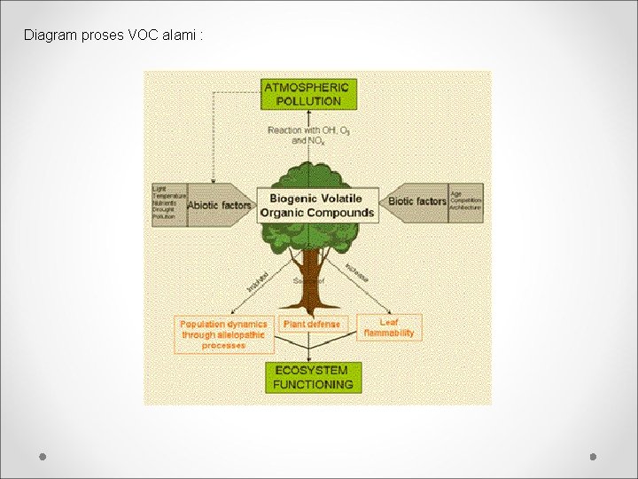 Diagram proses VOC alami : 