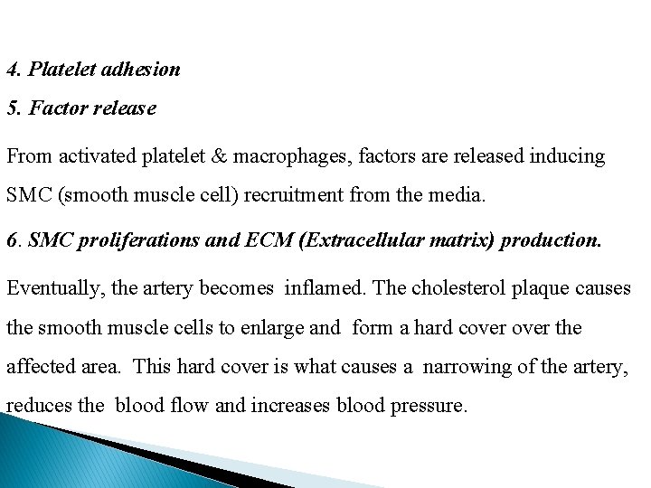 4. Platelet adhesion 5. Factor release From activated platelet & macrophages, factors are released