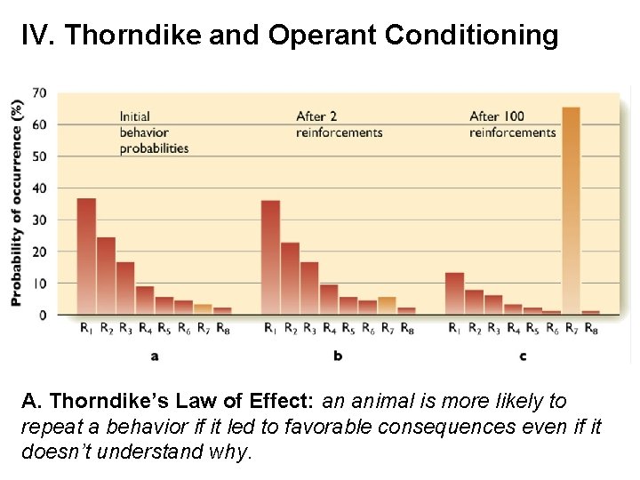 IV. Thorndike and Operant Conditioning A. Thorndike’s Law of Effect: an animal is more