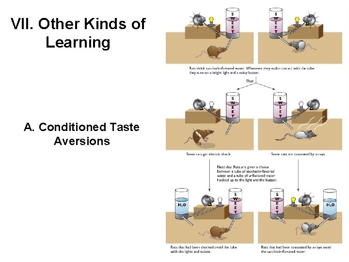 VII. Other Kinds of Learning A. Conditioned Taste Aversions 