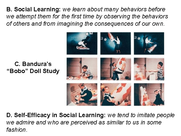 B. Social Learning: we learn about many behaviors before we attempt them for the