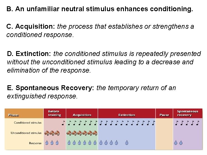 B. An unfamiliar neutral stimulus enhances conditioning. C. Acquisition: the process that establishes or