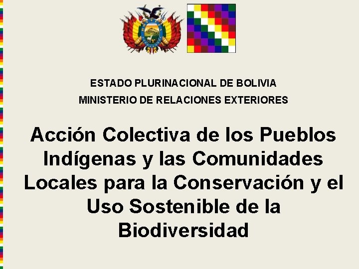 ESTADO PLURINACIONAL DE BOLIVIA MINISTERIO DE RELACIONES EXTERIORES Acción Colectiva de los Pueblos Indígenas