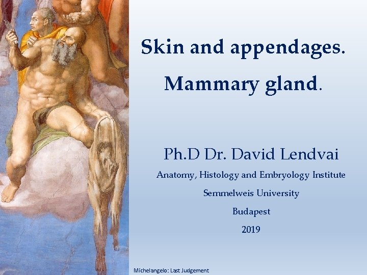 Skin and appendages. Mammary gland. Ph. D Dr. David Lendvai Anatomy, Histology and Embryology