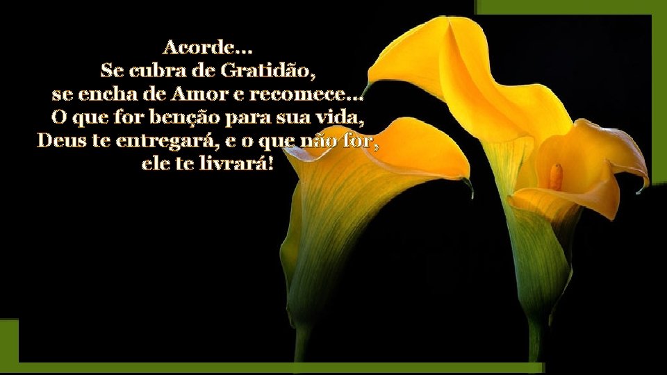 Acorde… Se cubra de Gratidão, se encha de Amor e recomece… O que for