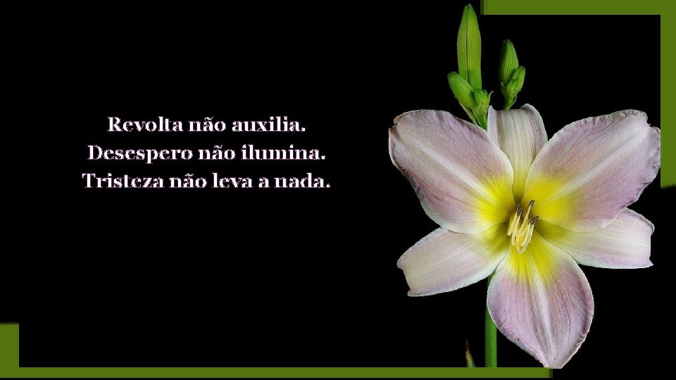 Revolta não auxilia. Desespero não ilumina. Tristeza não leva a nada. 