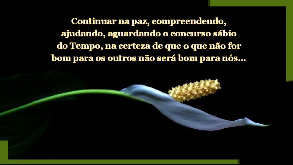 Continuar na paz, compreendendo, ajudando, aguardando o concurso sábio do Tempo, na certeza de