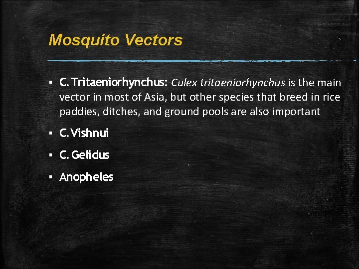 Mosquito Vectors ▪ C. Tritaeniorhynchus: Culex tritaeniorhynchus is the main vector in most of Mosquito Vectors ▪ C. Tritaeniorhynchus: Culex tritaeniorhynchus is the main vector in most of