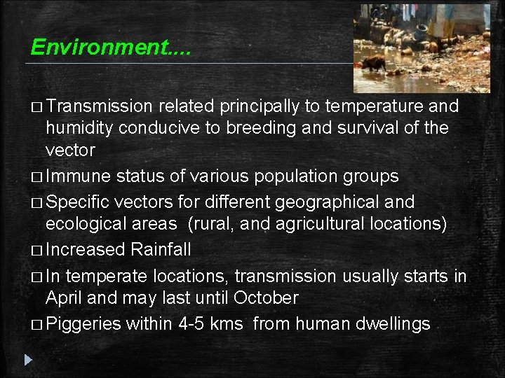 Environment. . � Transmission related principally to temperature and humidity conducive to breeding and Environment. . � Transmission related principally to temperature and humidity conducive to breeding and