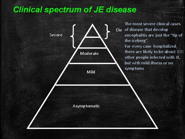 Clinical spectrum of JE disease Severe Moderate Mild Asymptomatic The most severe clinical cases Clinical spectrum of JE disease Severe Moderate Mild Asymptomatic The most severe clinical cases