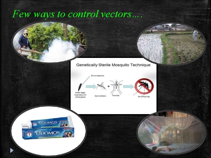 Few ways to control vectors…. Few ways to control vectors….
