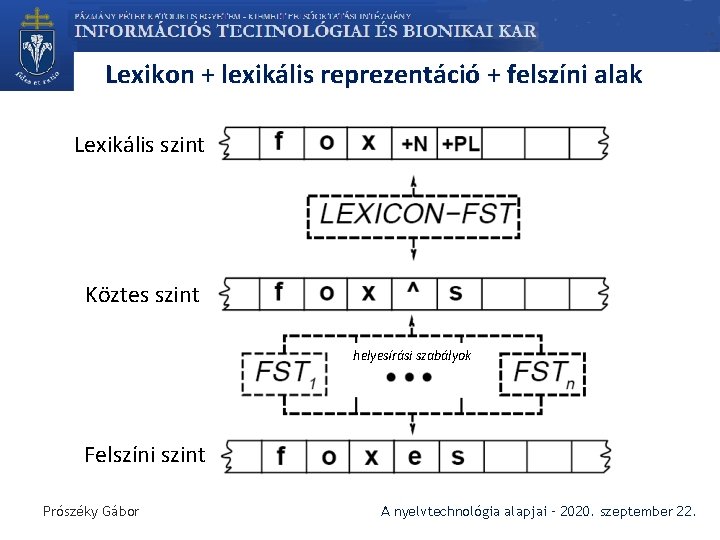 Lexikon + lexikális reprezentáció + felszíni alak Lexikális szint Köztes szint helyesírási szabályok Felszíni