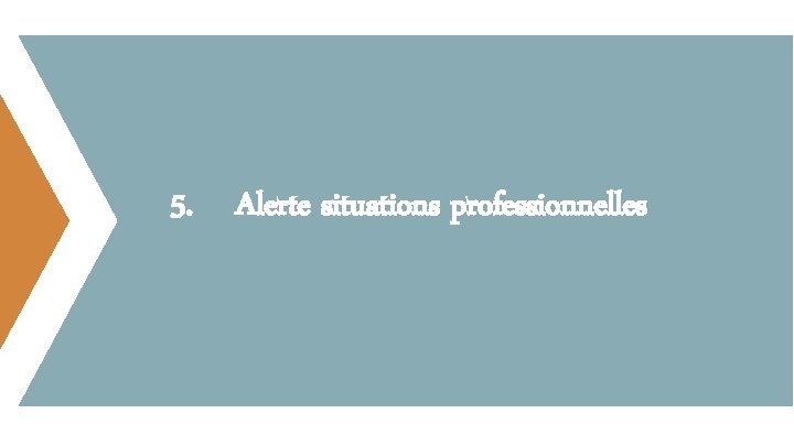 5. Alerte situations professionnelles 