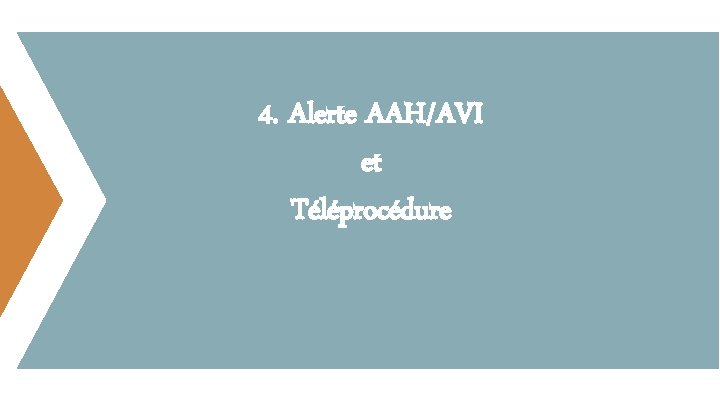 4. Alerte AAH/AVI et Téléprocédure 