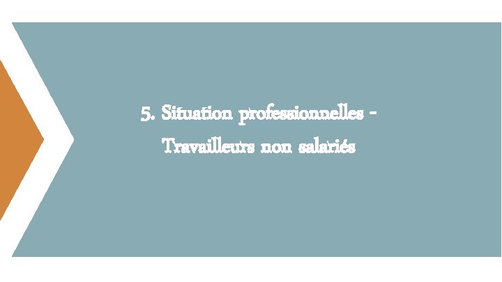 5. Situation professionnelles Travailleurs non salariés 