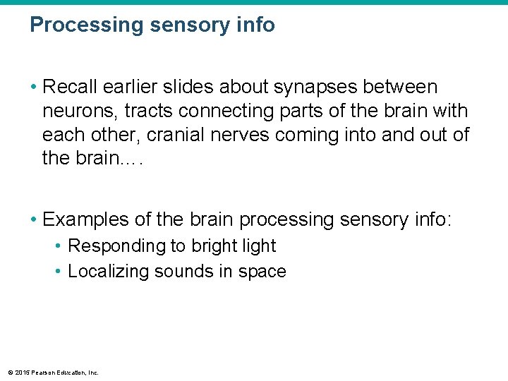 Processing sensory info • Recall earlier slides about synapses between neurons, tracts connecting parts Processing sensory info • Recall earlier slides about synapses between neurons, tracts connecting parts
