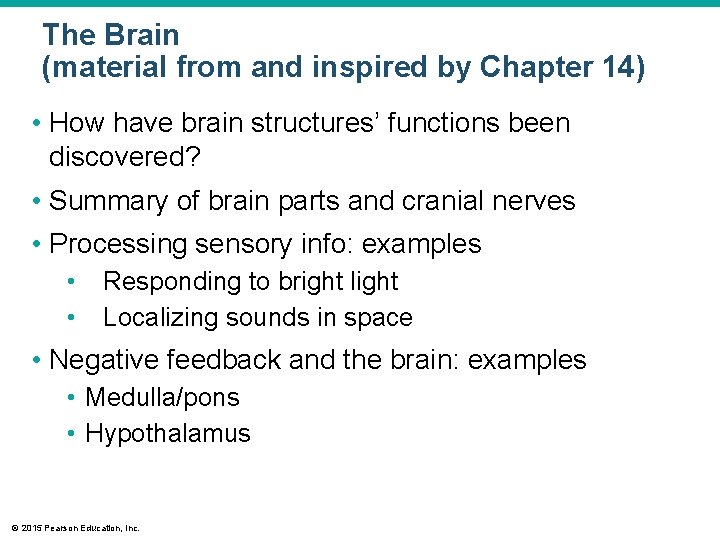 The Brain (material from and inspired by Chapter 14) • How have brain structures’ The Brain (material from and inspired by Chapter 14) • How have brain structures’