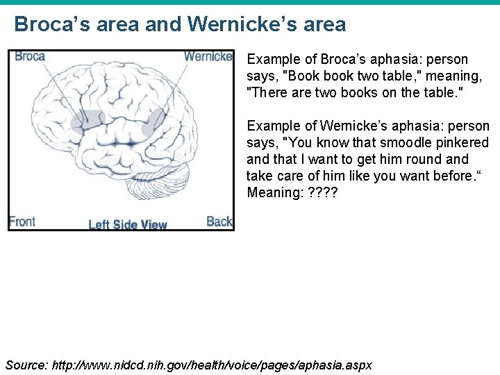 Broca’s area and Wernicke’s area Example of Broca’s aphasia: person says, "Book book two Broca’s area and Wernicke’s area Example of Broca’s aphasia: person says, "Book book two