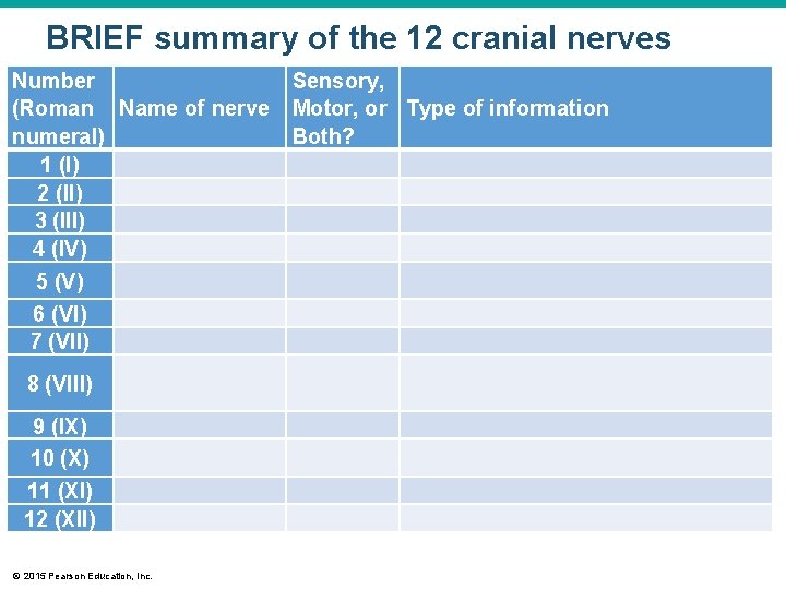 BRIEF summary of the 12 cranial nerves Number (Roman Name of nerve numeral) 1 BRIEF summary of the 12 cranial nerves Number (Roman Name of nerve numeral) 1