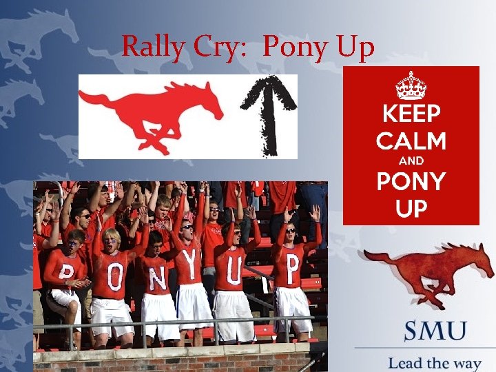 Rally Cry: Pony Up 