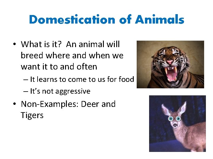 Domestication of Animals • What is it? An animal will breed where and when