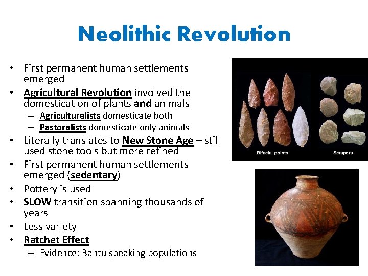 Neolithic Revolution • First permanent human settlements emerged • Agricultural Revolution involved the domestication