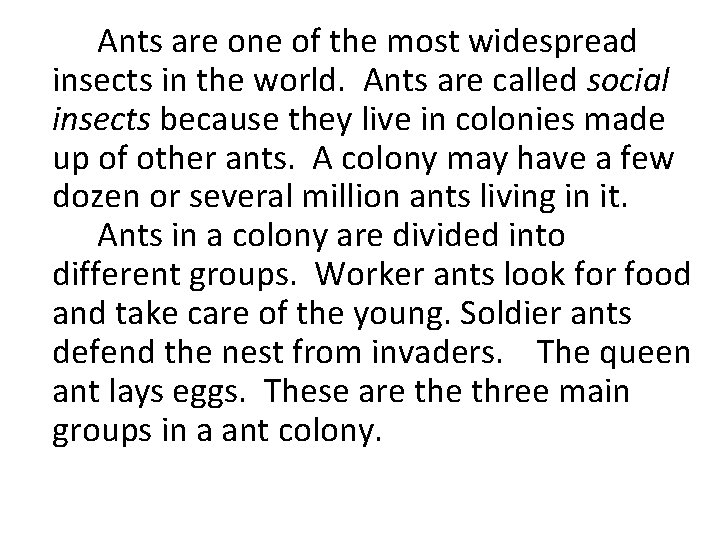 Ants are one of the most widespread insects in the world. Ants are called