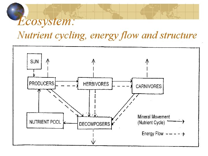Ecosystem: Nutrient cycling, energy flow and structure 