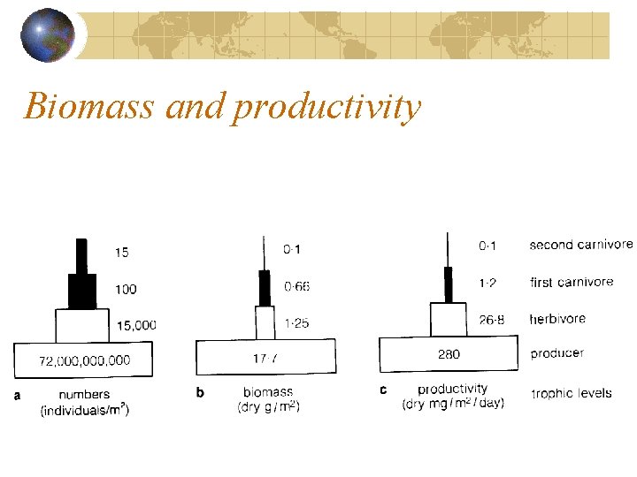 Biomass and productivity 