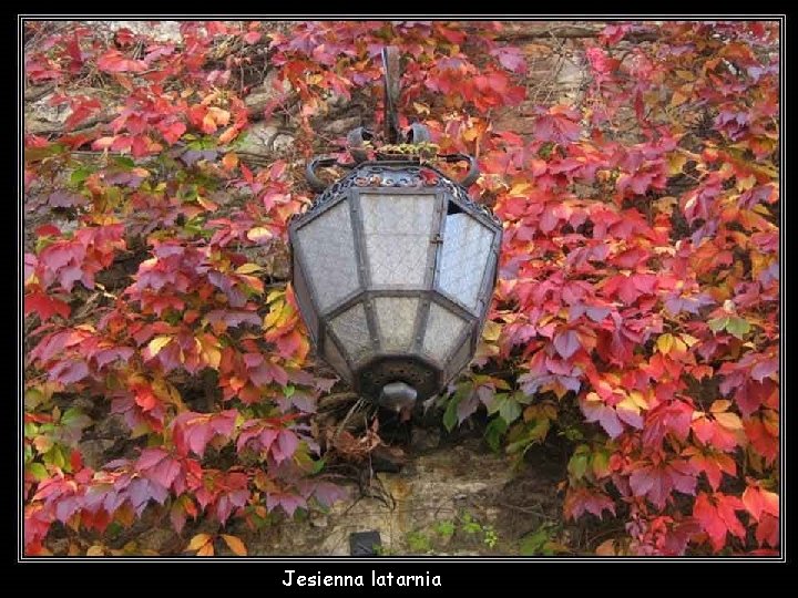 Jesienna latarnia 
