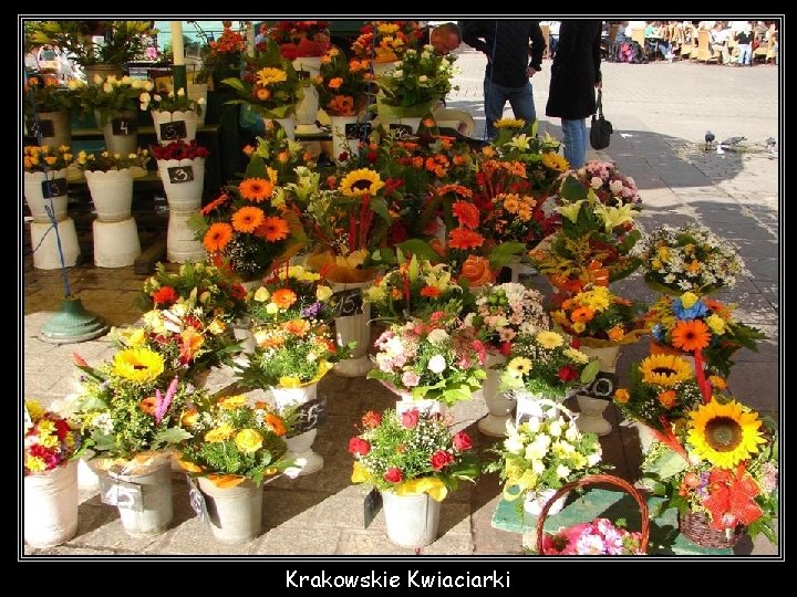 Krakowskie Kwiaciarki 