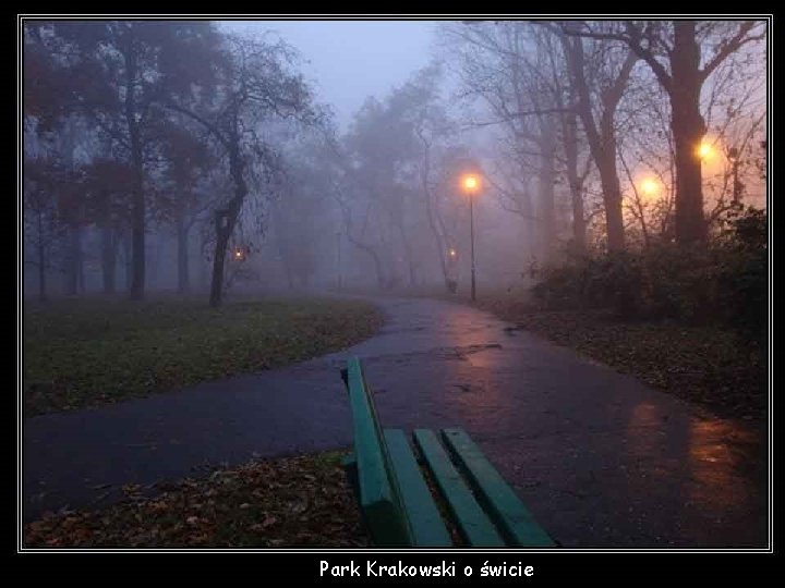 Park Krakowski o świcie 