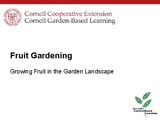 Fruit Gardening Growing Fruit in the Garden Landscape 