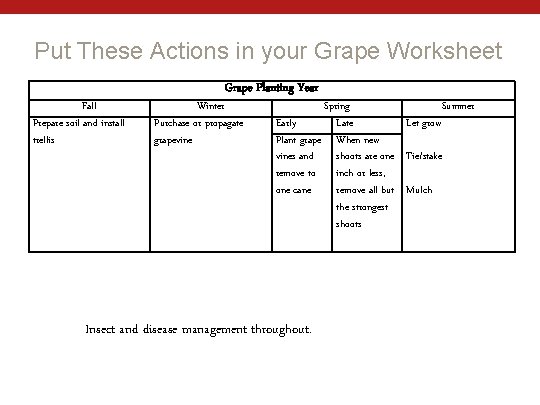 Put These Actions in your Grape Worksheet Fall Prepare soil and install trellis Grape