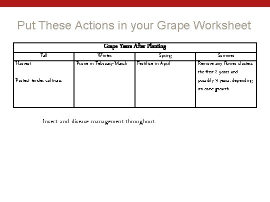 Put These Actions in your Grape Worksheet Harvest Fall Grape Years After Planting Winter