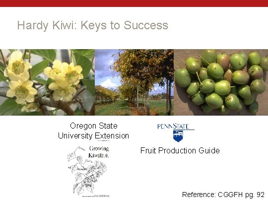 Hardy Kiwi: Keys to Success Oregon State University Extension Fruit Production Guide Reference: CGGFH