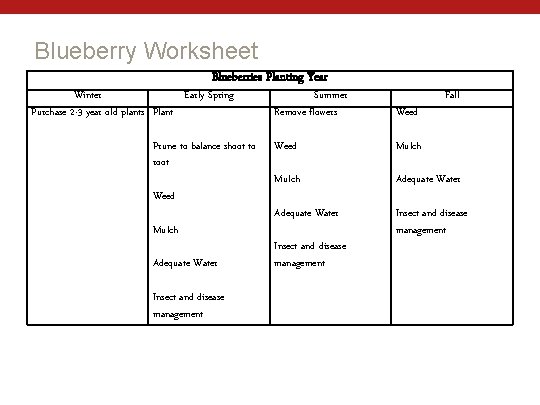 Blueberry Worksheet Blueberries Planting Year Winter Early Spring Purchase 2 -3 year old plants